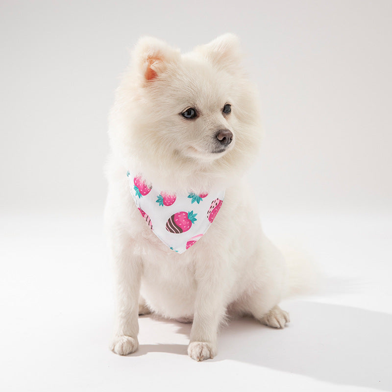 Pet Cat Dog Clothing Collar Accessories