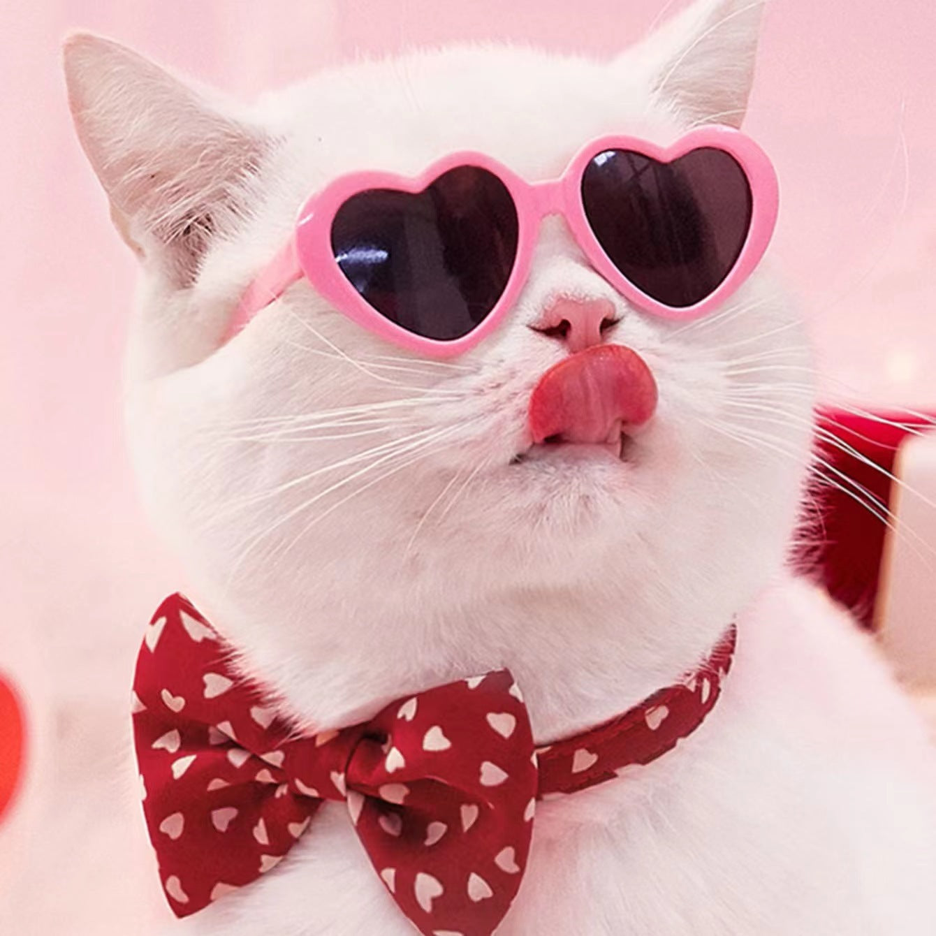 Fashion Accessories