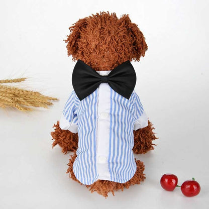 Breathable spring and summer pet clothing