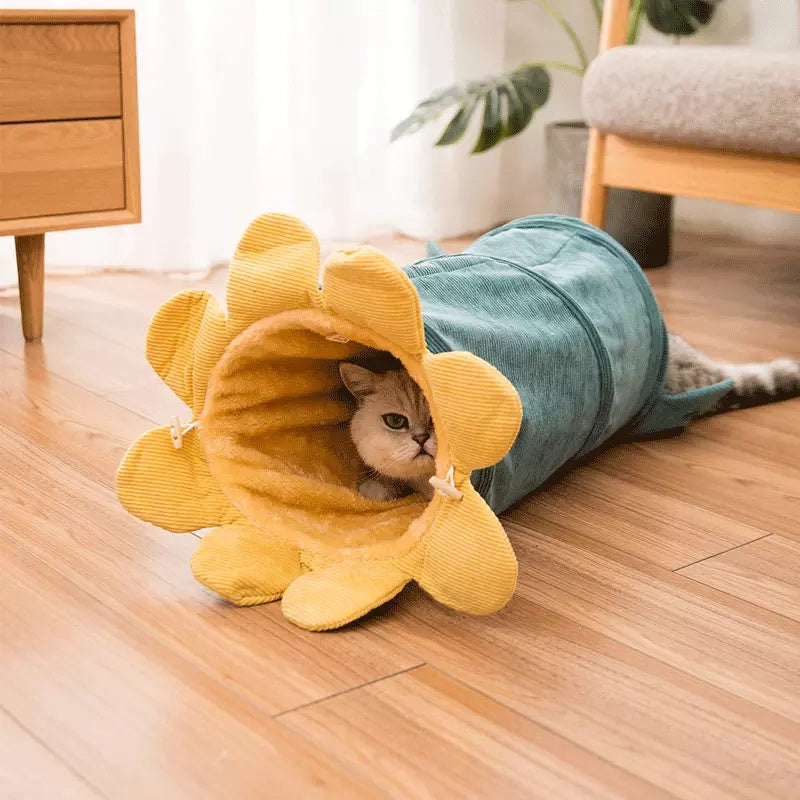 Creative Fruit Funny Pet Cat Tunnel Toys Puppy Ferrets Rabbit Play Dog Tunnel Tubes