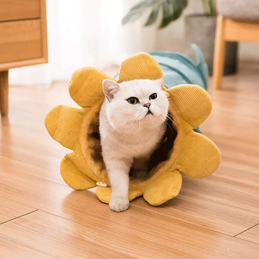Creative Fruit Funny Pet Cat Tunnel Toys Puppy Ferrets Rabbit Play Dog Tunnel Tubes
