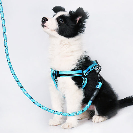 Dog Pet Leash Golden Retriever Collar Side Herd Small And Medium-sized Dogs
