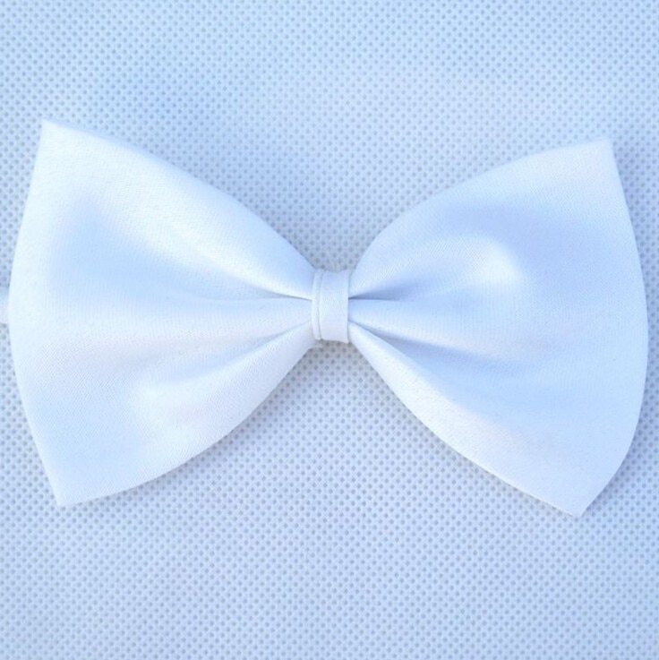 1 piece Adjustable Dog Cat bow neck tie