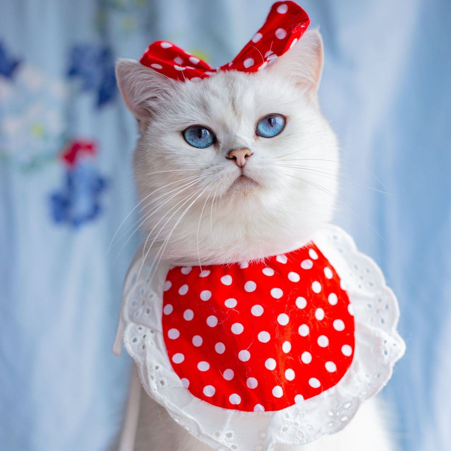 Cat Lace Suit Saliva Towel Princess Style Scarf Bib