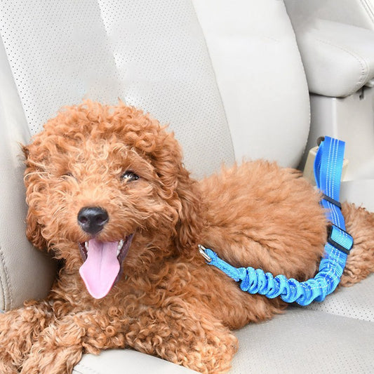 Dog elastic car seat belt traction rope
