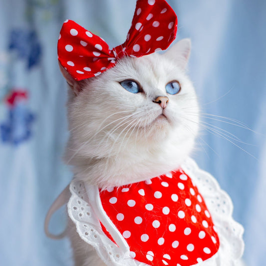 Cat Lace Suit Saliva Towel Princess Style Scarf Bib