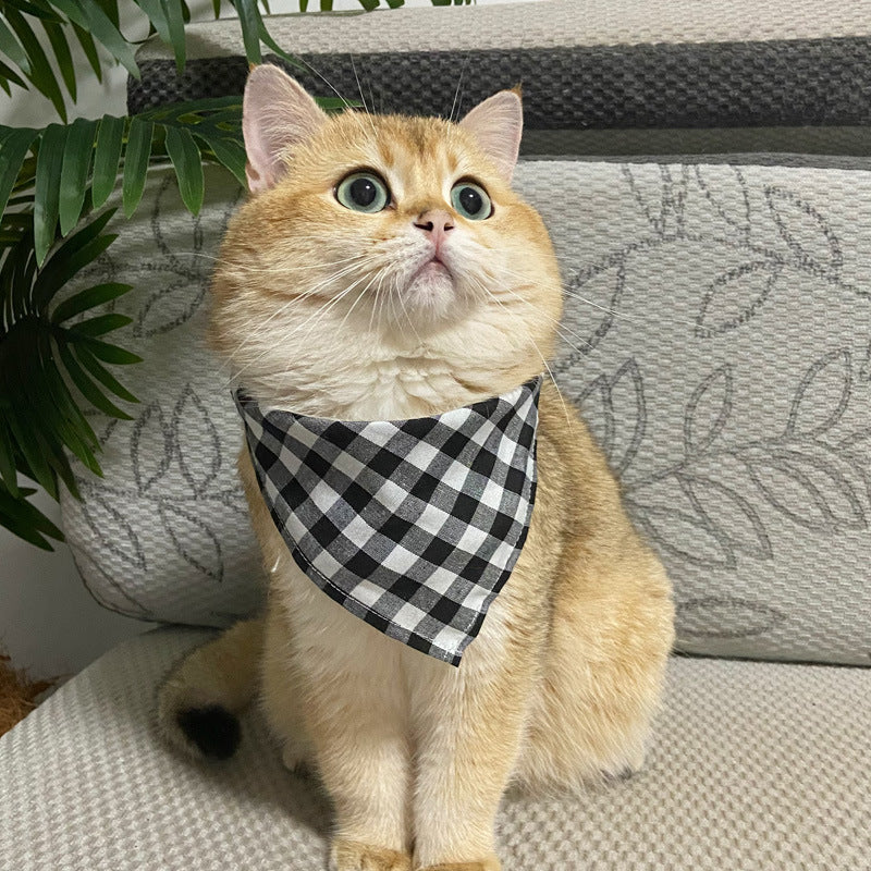 Cat Lace Suit Saliva Towel Princess Style Scarf Bib