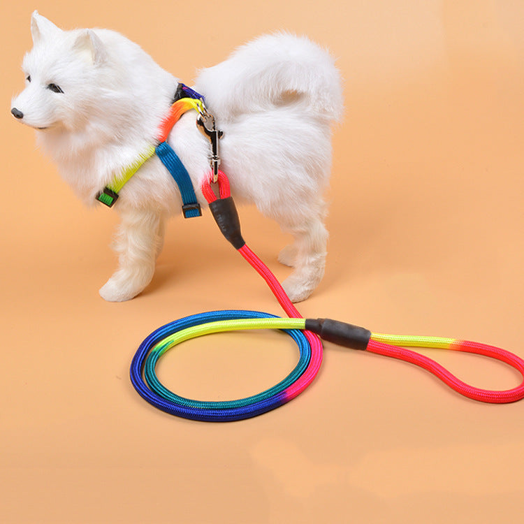 Colorful Nylon Round Hand Holding Dog Rope