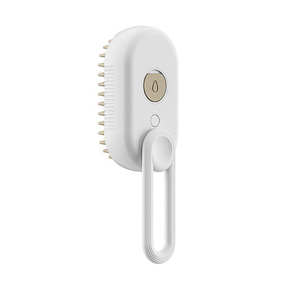 Steam Brush 3 In 1 Electric Spray Hair Brushes For Massage Pet Grooming Comb