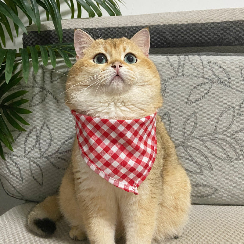 Cat Lace Suit Saliva Towel Princess Style Scarf Bib