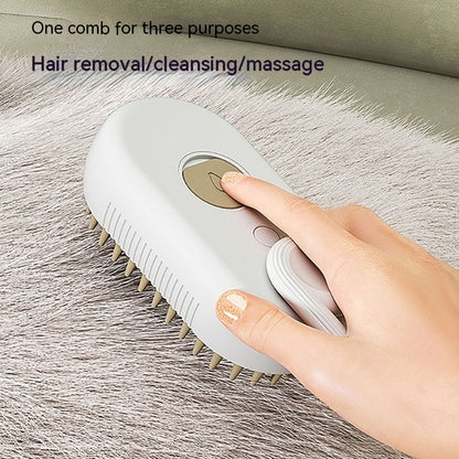 Steam Brush 3 In 1 Electric Spray Hair Brushes For Massage Pet Grooming Comb